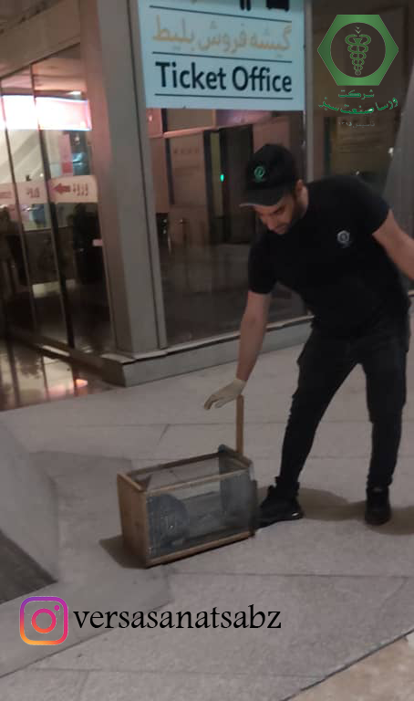 گربه گیری، زنده گیری حیوانات، حمایت از حیوانات، حفظ امنیت حیوانات